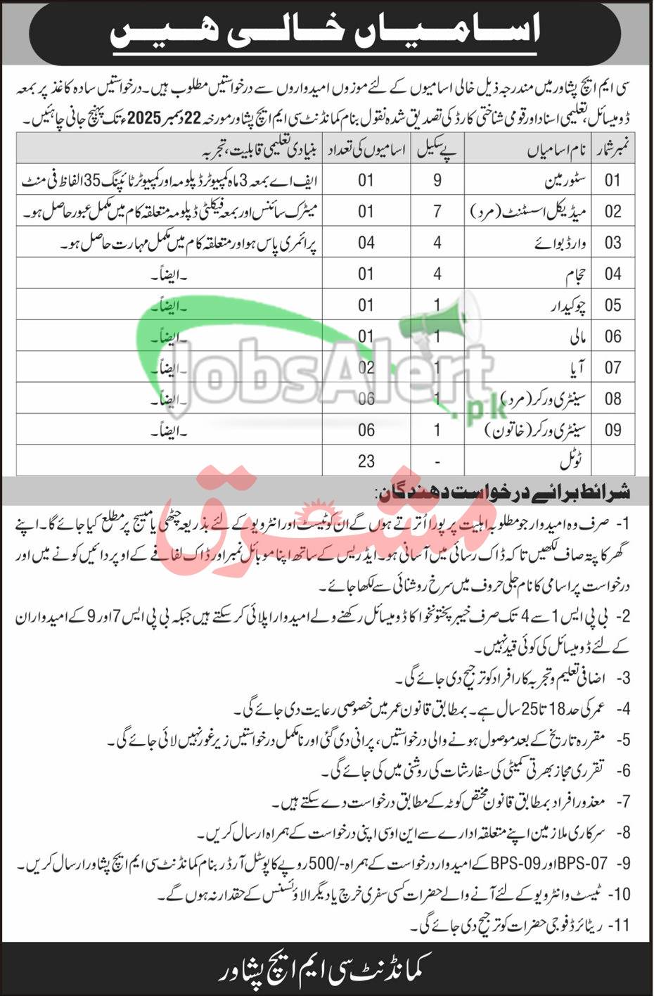 Peshawar Jobs 