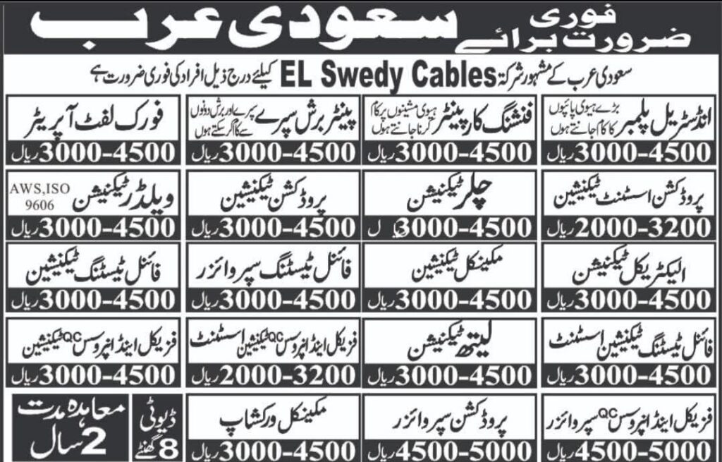 Technical Professionals in Saudi Arabia