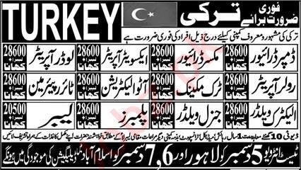 Immediate Recruitment in Turkey