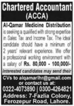 Chartered Accountant