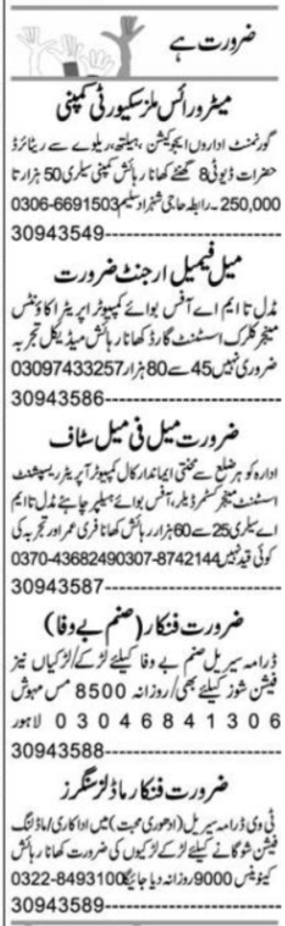 career opportunities