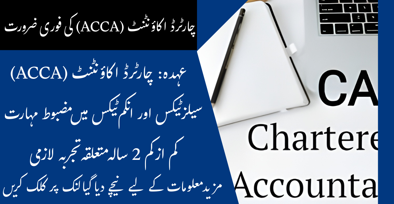Chartered Accountant