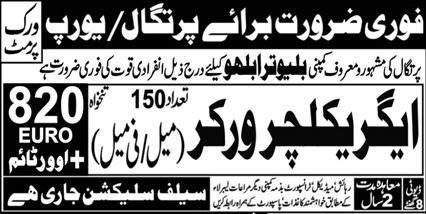  Agricultural Sector Employees in Portugal