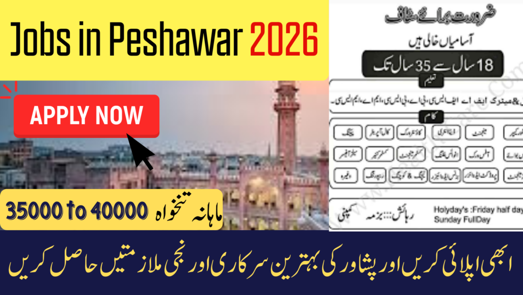 Jobs in Peshawar
