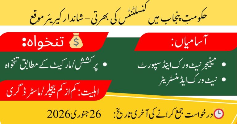 Join Punjab’s Education Reform Programme – Consultant Roles Available