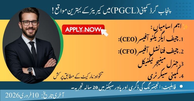 Senior Management Jobs at Punjab Grid Company Limited (PGCL)