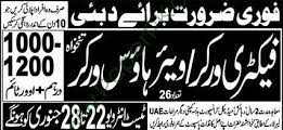  Job Vacancies for Dubai