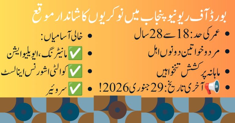 Professional Roles in a Government Development Project